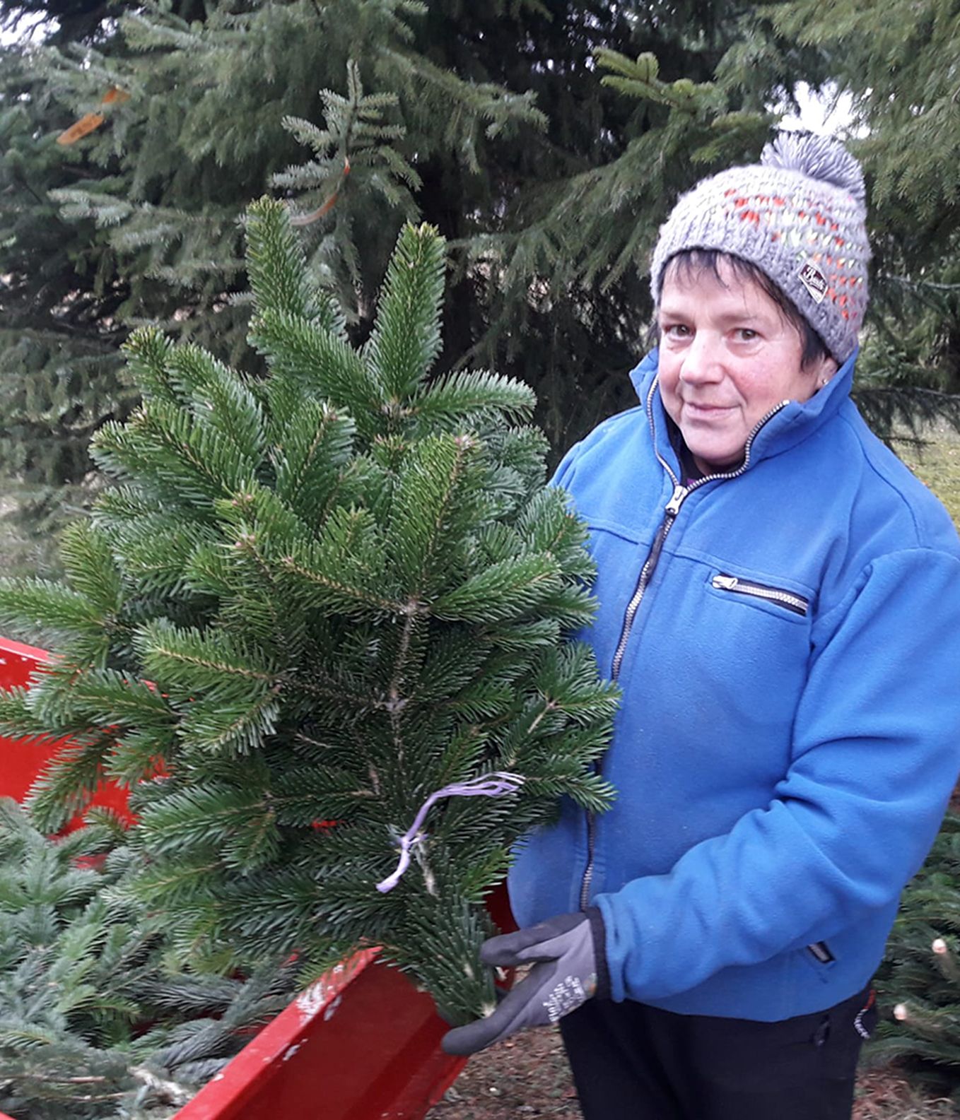 Frau mit blauer Jacke und bunter Mütze mit einem Bündel Tannenzweige in der Hand