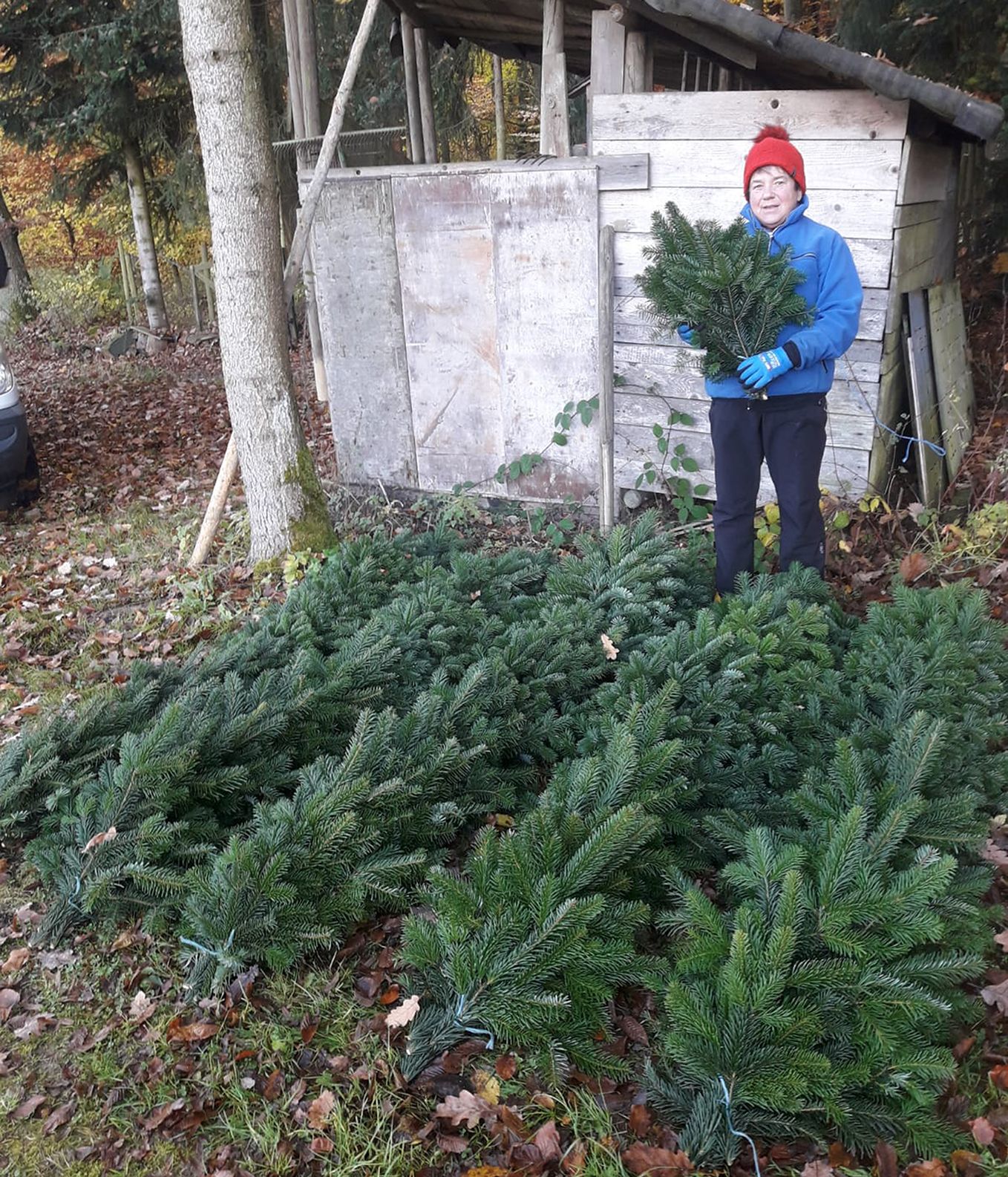 Frau mit blauer Jacke und roter Mütze steht vor einem Bündel Tannenzweige